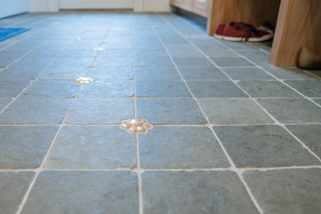 Paw Prints Tile Floor